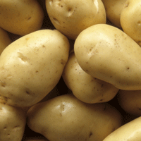fyi_food_potatoes