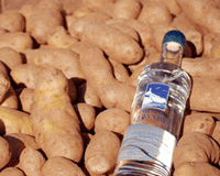 potatovodka2