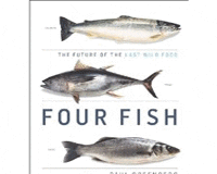 fourfish2