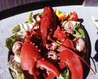 PEI lobster