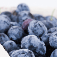 blueberries-festival