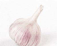 garlic-festival-to-launch-in-toronto