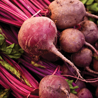 go-local beets