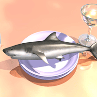 shark-on-plate