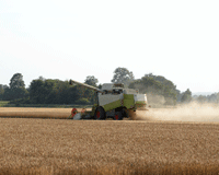 wheat-board-vote