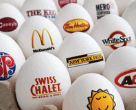 Foodservice Franchise Eggs