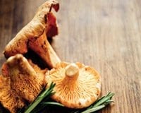 mushrooms-chanterelles-sustainability-0713