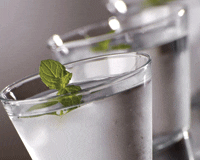 vodka-with-mint-1113