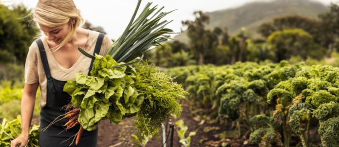 Happy female farmer holding freshly picked vegetables on her farm