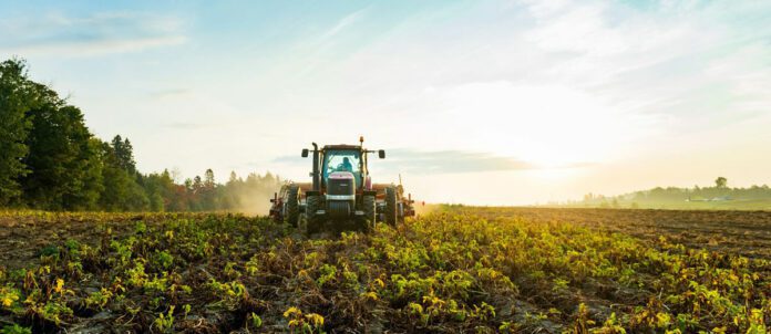 McCain Farm tractor in field