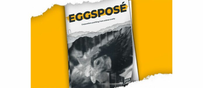 Humane League 2023 Cage-Free Eggposé