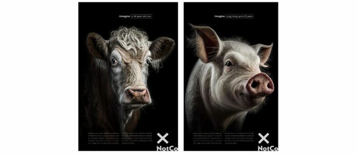 NotCo Livestock Life Expectancy Campaign