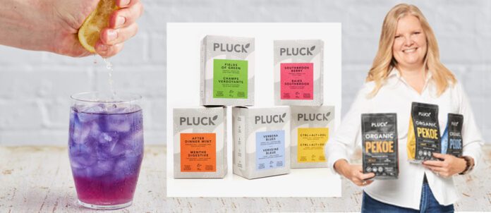 Pluck Tea Toronto product showcase