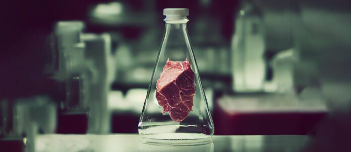Plant-based meat in a scientific flask