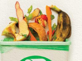 Organic Material Being Composted in Bin