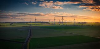 Field with Wind Turbines with sunset in background