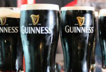 Pints of Guinness at Bar in Beer Glasses