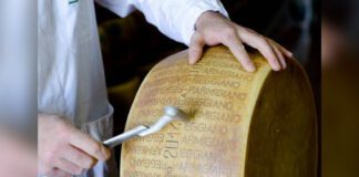 Cheese Wheel from Parmigiano Reggiano