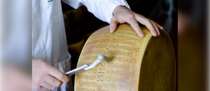 Cheese Wheel from Parmigiano Reggiano
