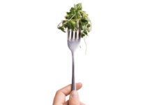 Lettuce on Fork being held face upwards