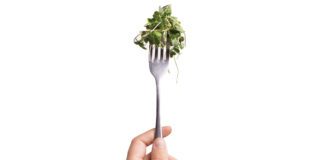 Lettuce on Fork being held face upwards