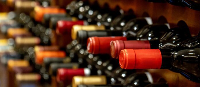 Bottles of black red wine lined up and stacked on wooden wine rack shelves