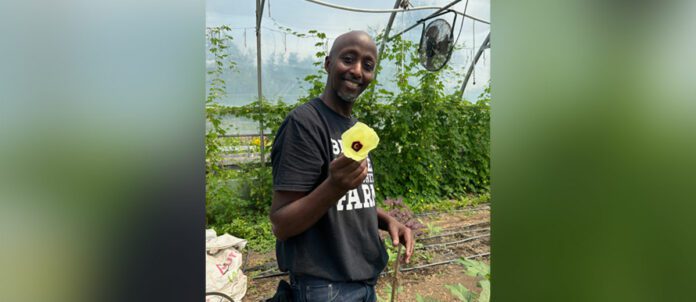 Chef advocate Bashir Munye holding the flower of an okra plant | Photo credit: Rosanna Caira