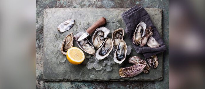 Oysters with ice and lemon