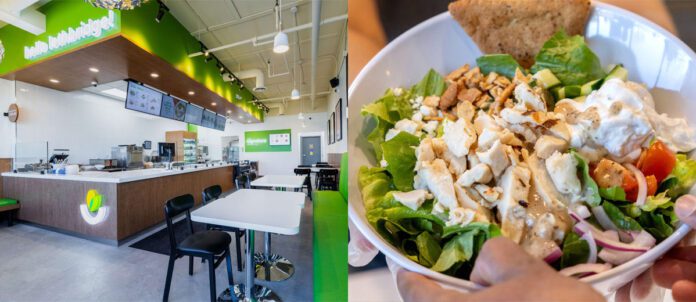 Chopped Leaf restaurant interior and bowl of salad from menu