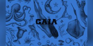 Background photo of Gaia House