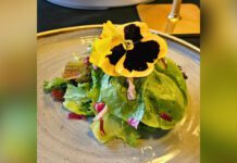 Something Different salad dish on plate