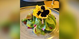 Now Open: Something Different Something Different salad dish on plate